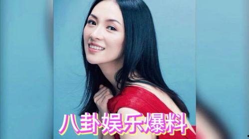 娱乐圈吃瓜明星爆料小说