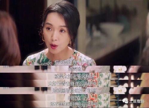 舒兰娱乐圈吃瓜小说,舒兰的瓜田秘闻