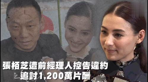 娱乐吃瓜配图,吃瓜群众眼中的明星幕后故事